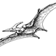 Nope, not like this. The popular conception of pterosaur flight, with hind legs spread far apart. New research suggests this pose was impossible.